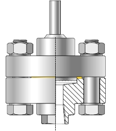 High Pressure Diaphragm Seal